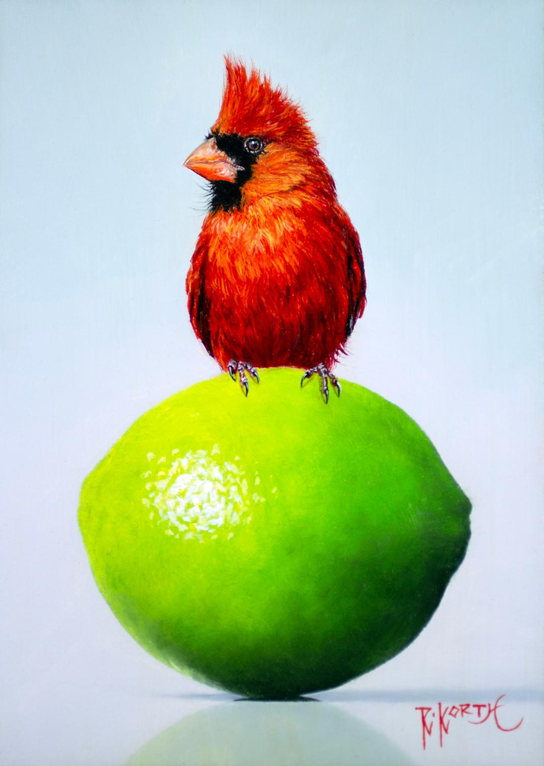 Image of Cardinal & Citrus by Rebecca Korth