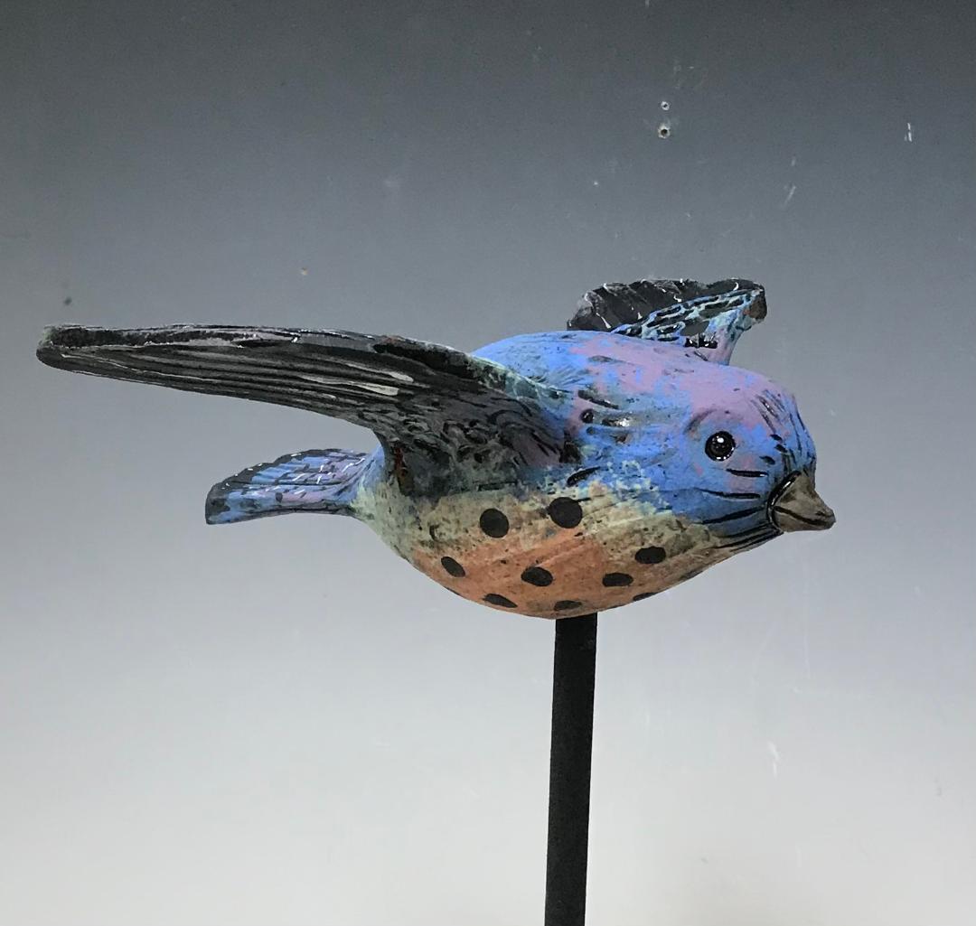 Image 5 for Garden Bird