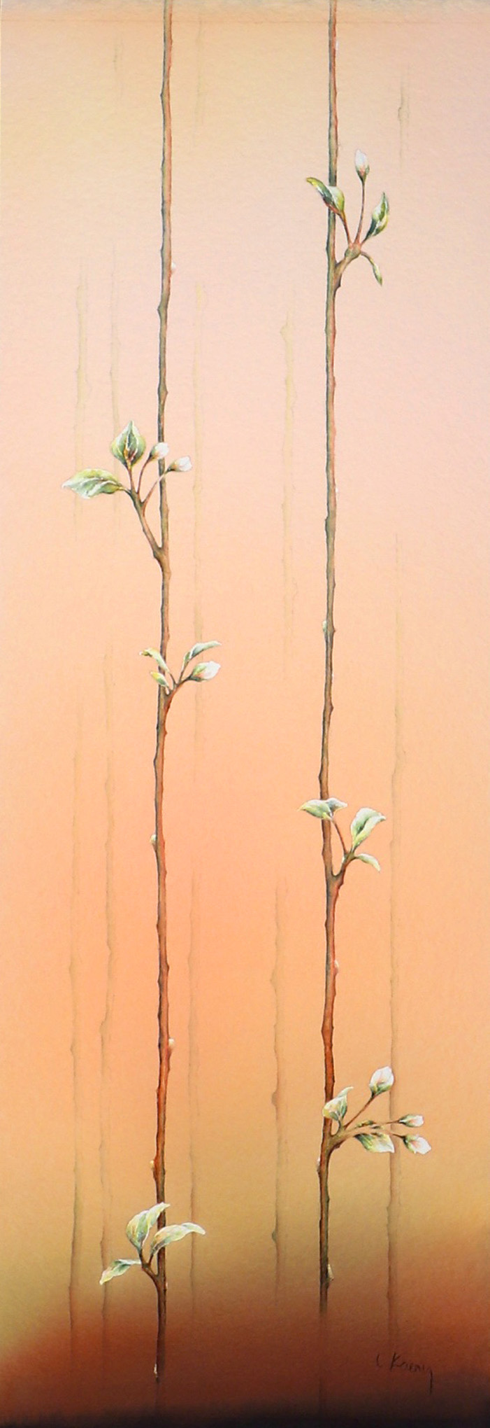 Image of Contentment by Linda Koenig