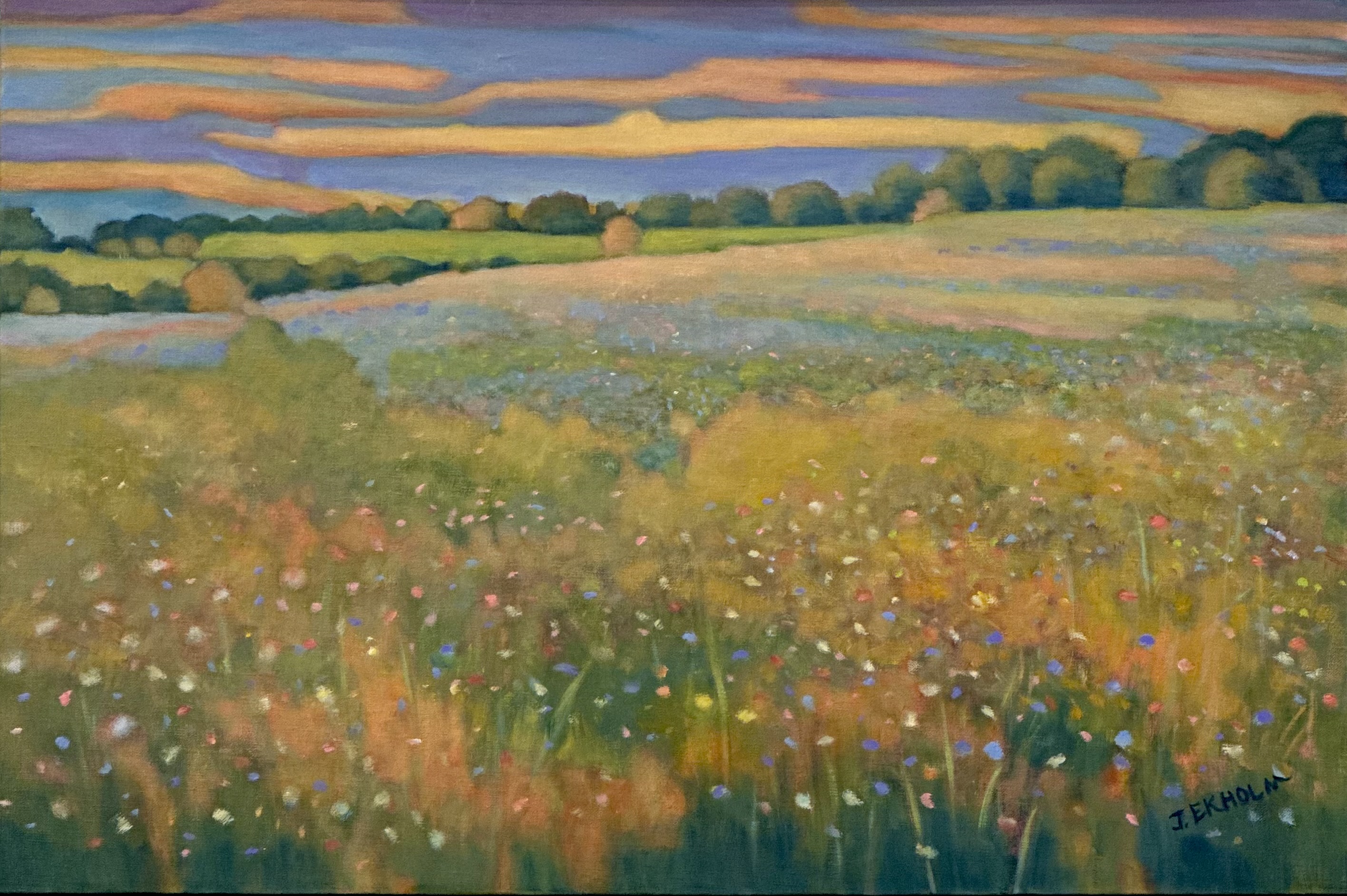 Image of The Whispering Meadow by Judi Ekholm
