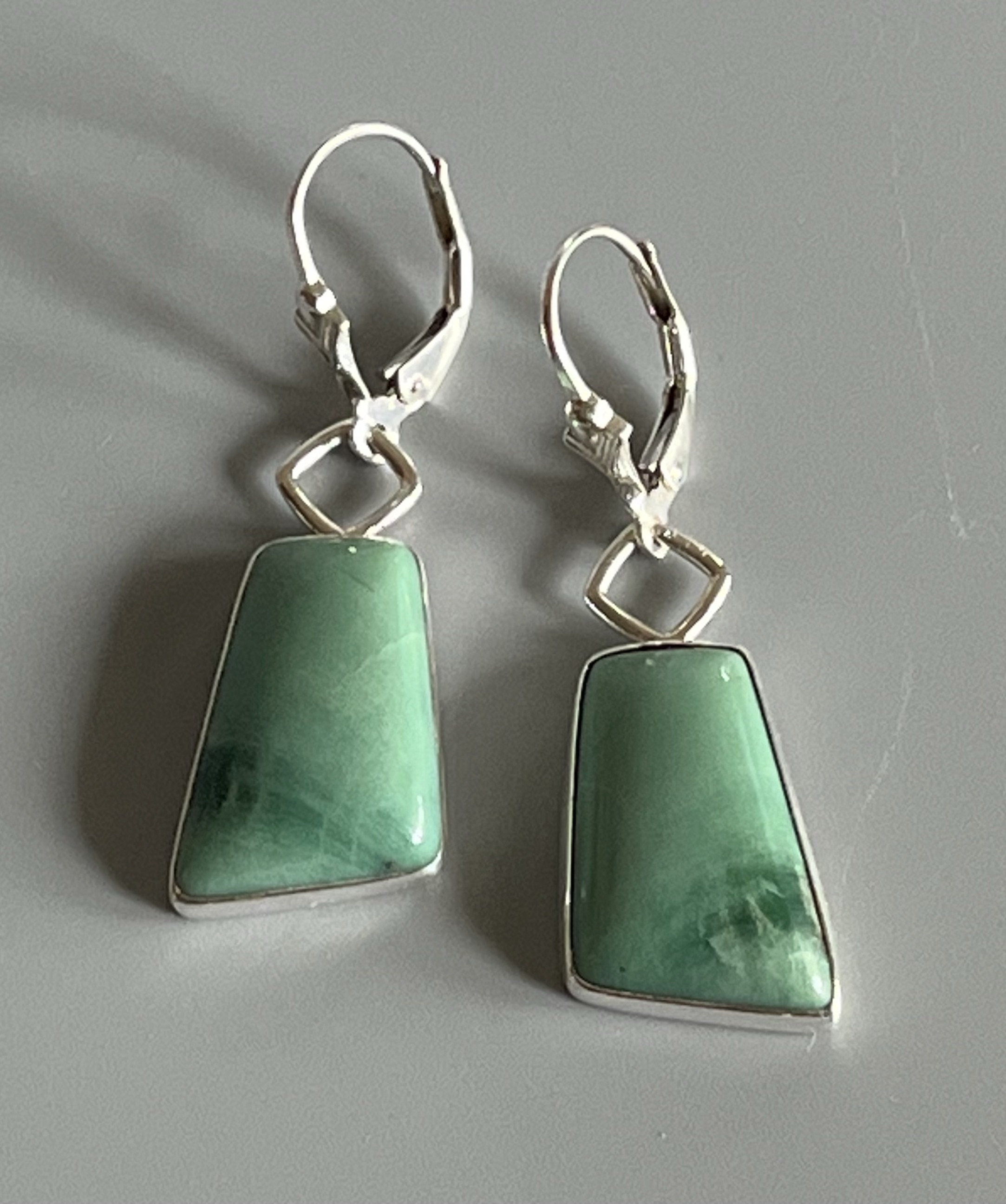 Image of Sterling Silver and Green Petrified Wood Earrings by Catherine Laing
