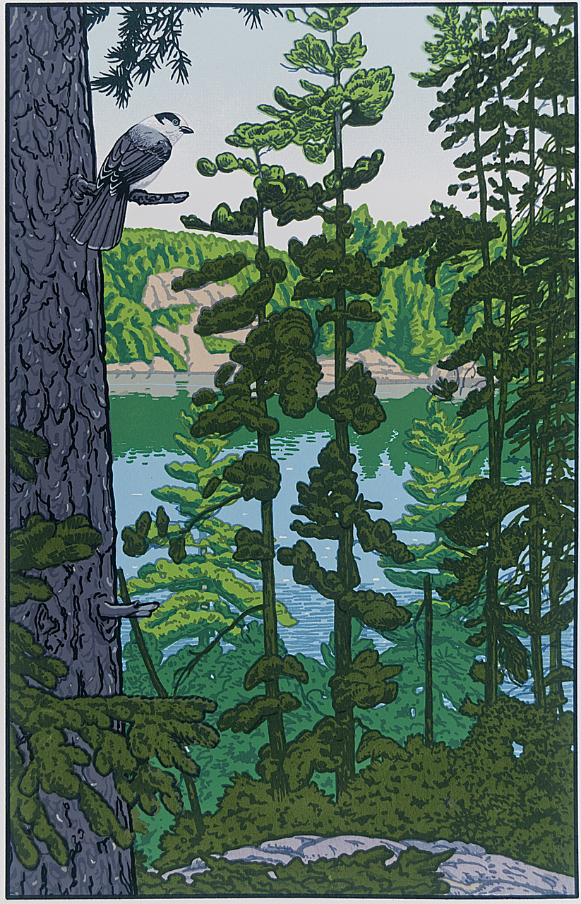 Image of Home of the Gray Jay by John S. Miller