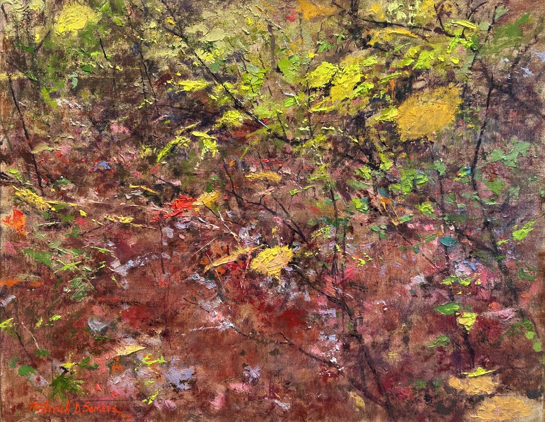 Image of Adirondack Borders by Frederick D. Somers