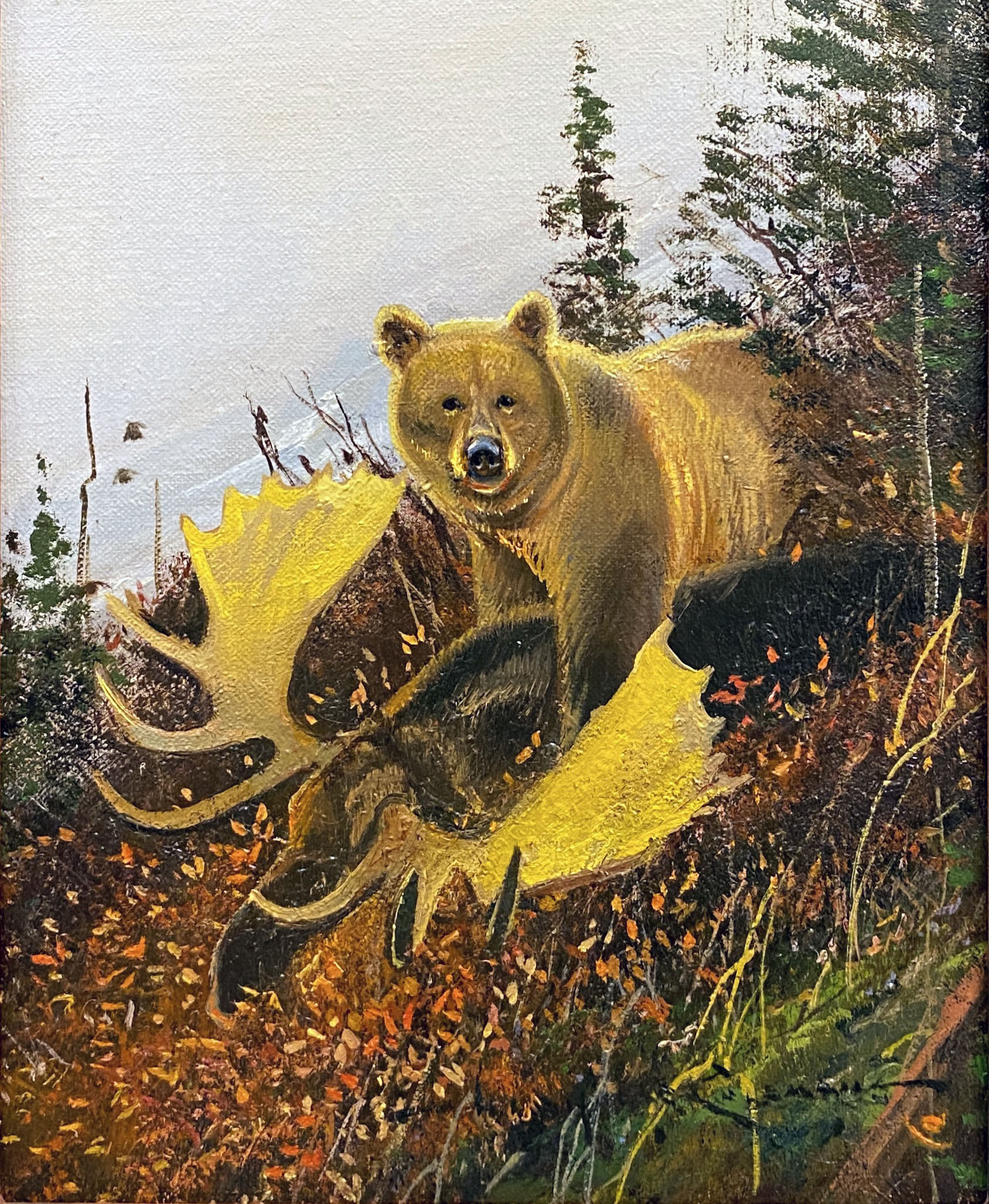 Grizzly by  Nicholas Coleman - Masterpiece Online