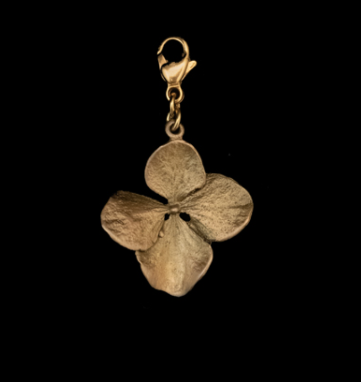 Image of Hydrangea Charm by Michael Michaud