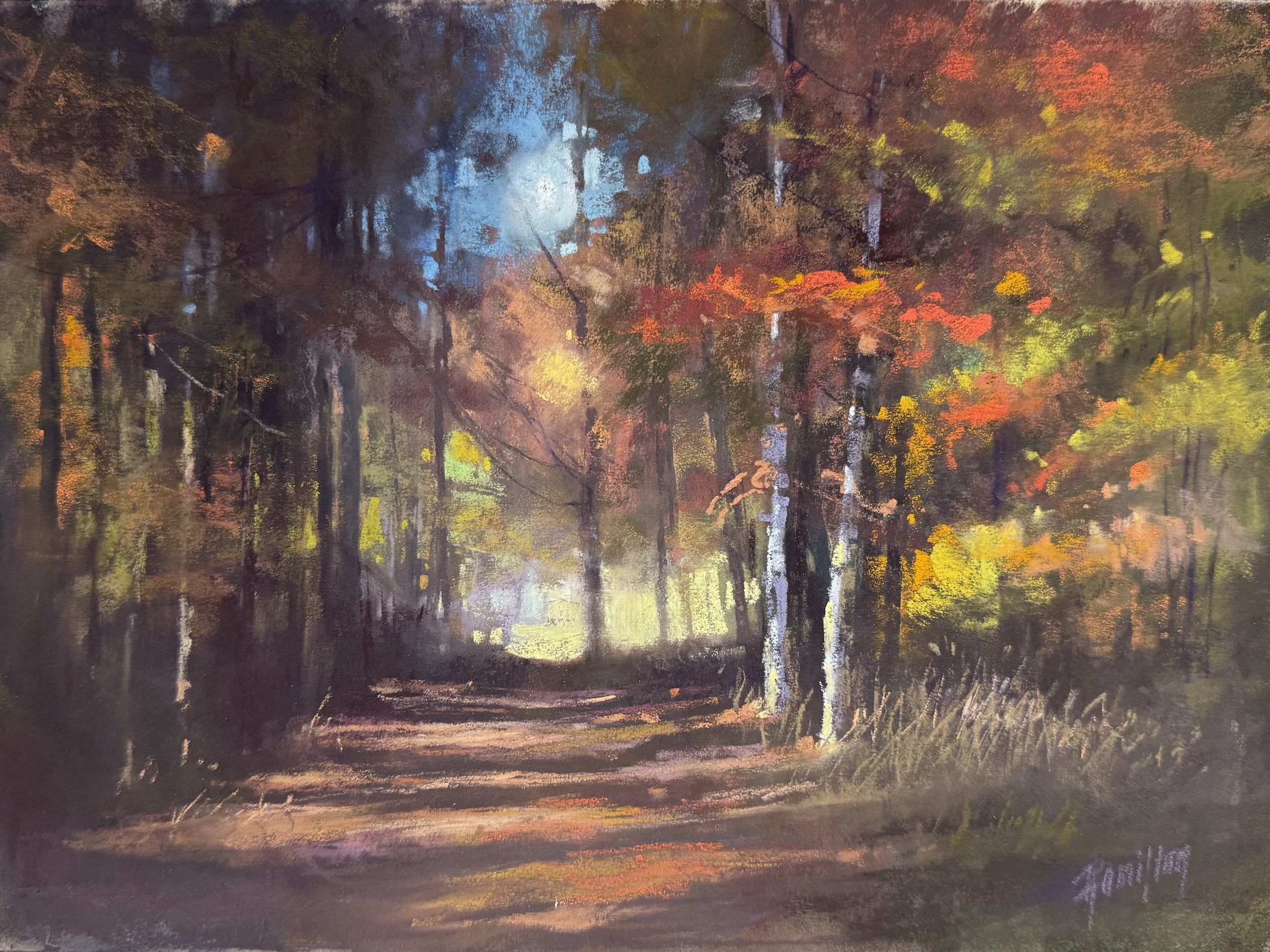 Image of Where Light Rests by Pamela Hamilton