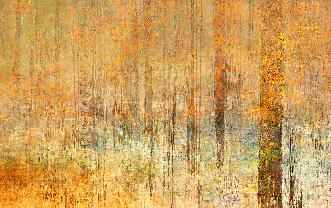 Image of Golden Reverie, Unframed, Edition of 10 by  Tilton + Oeler