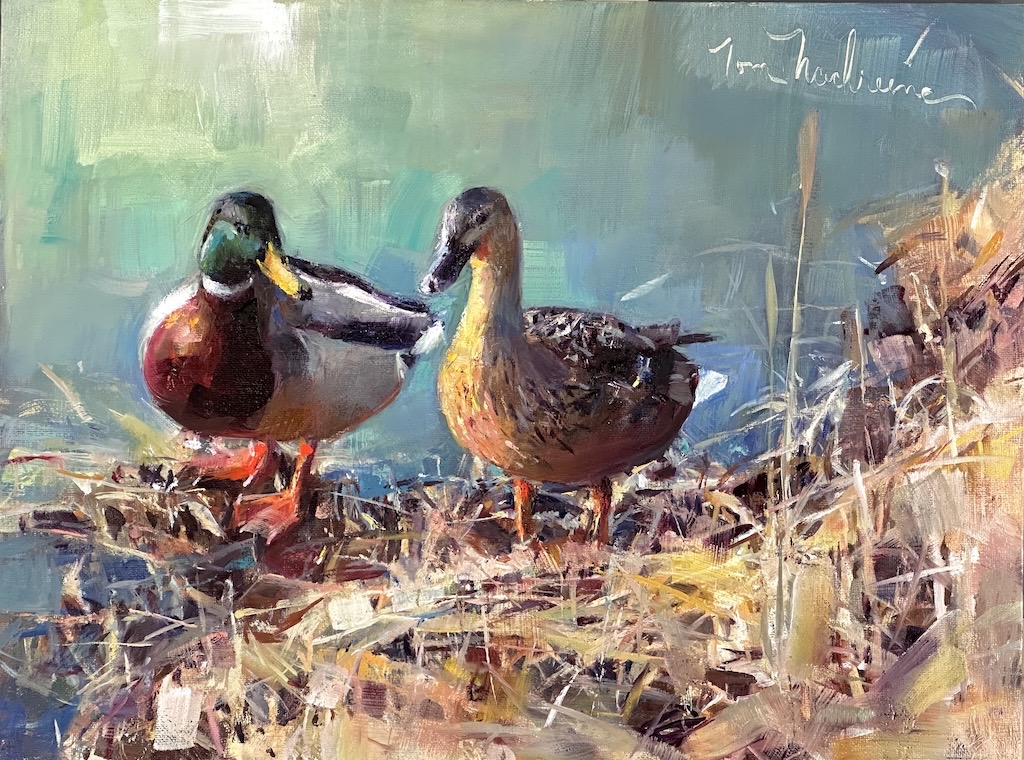 Image of Marsh Mallards by Tom Nachreiner