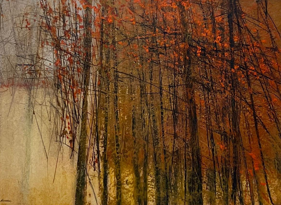 Image of Wild Woods by George Shipperley
