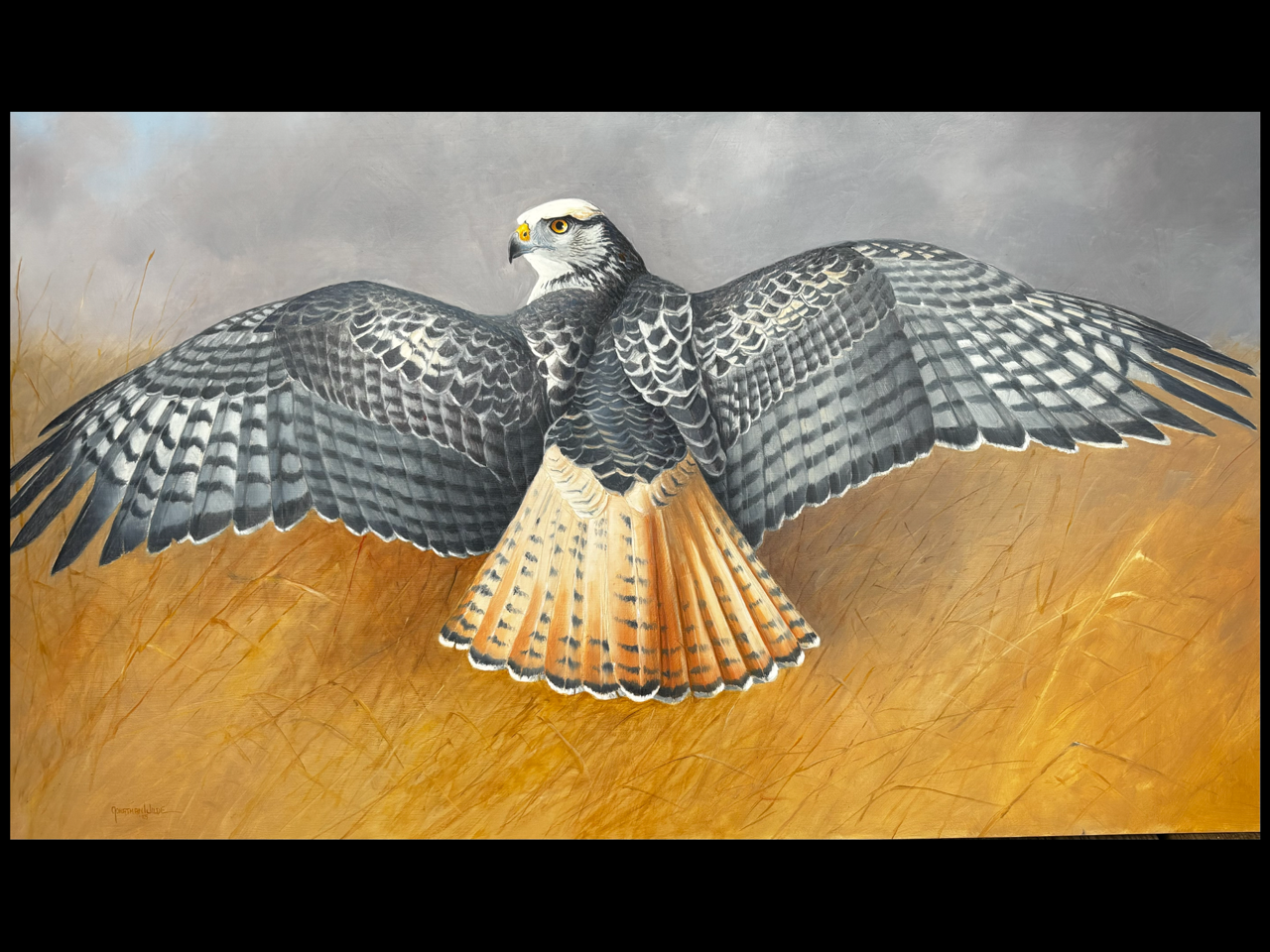 Image of Sallie-Sunbathing by Jonathan Wilde