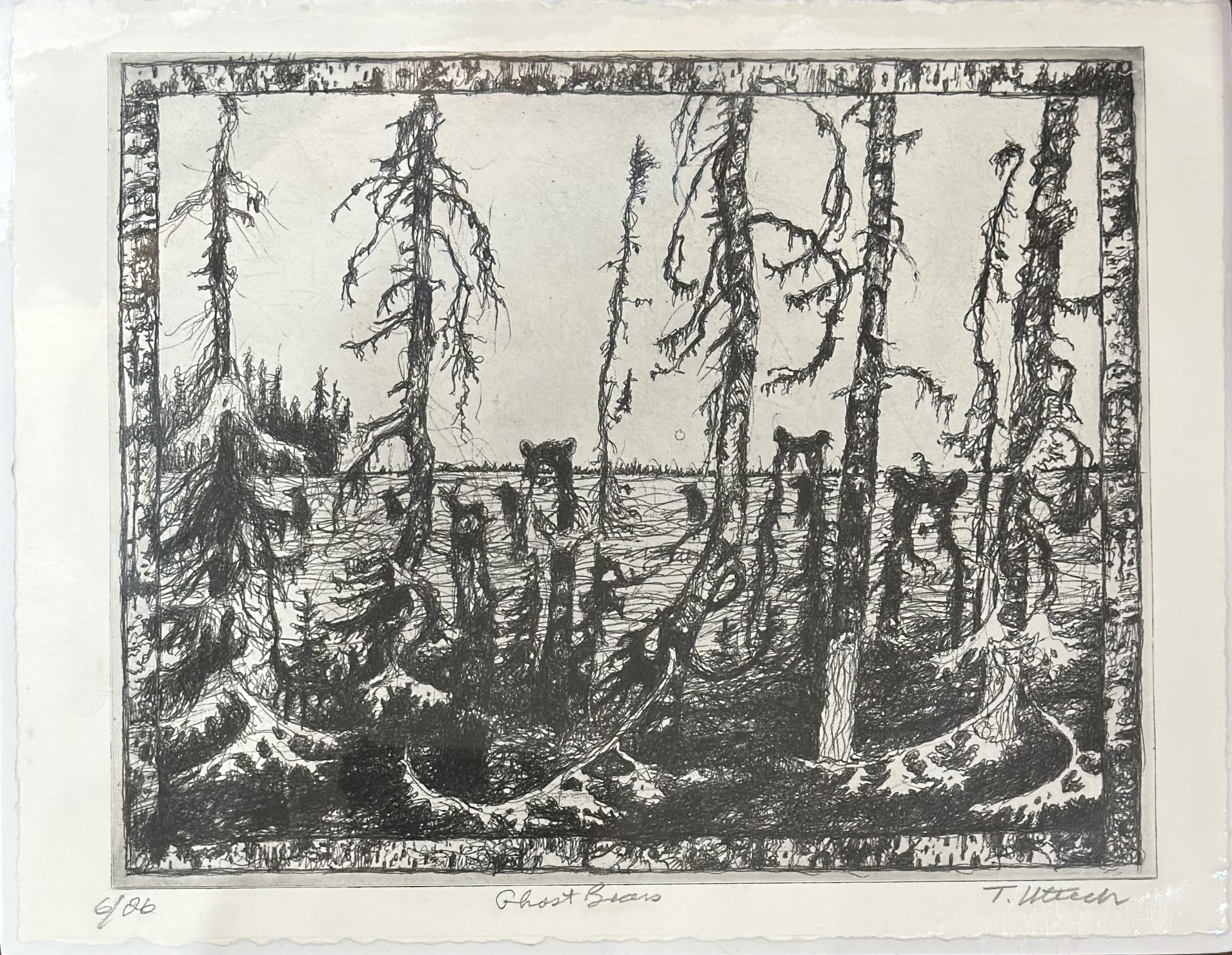 Image of Ghost Bears, 6/26 by Tom Uttech