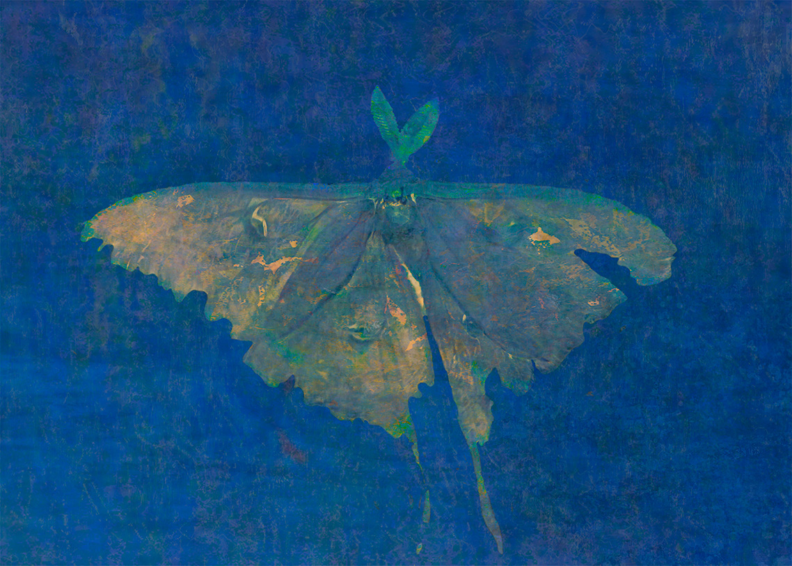 Image of I Wish I Could Fly Like Superman, Unframed, Edition of 10 by  Tilton + Oeler