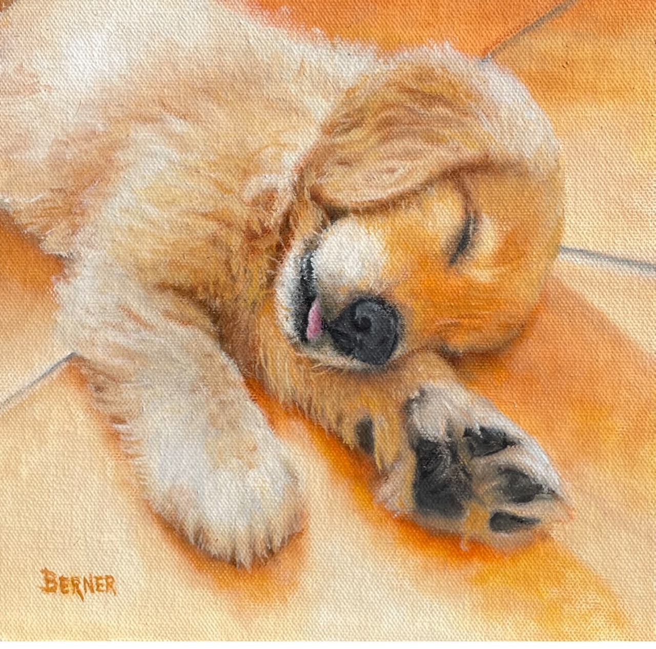 Image of Paws for Thought by Sally Berner