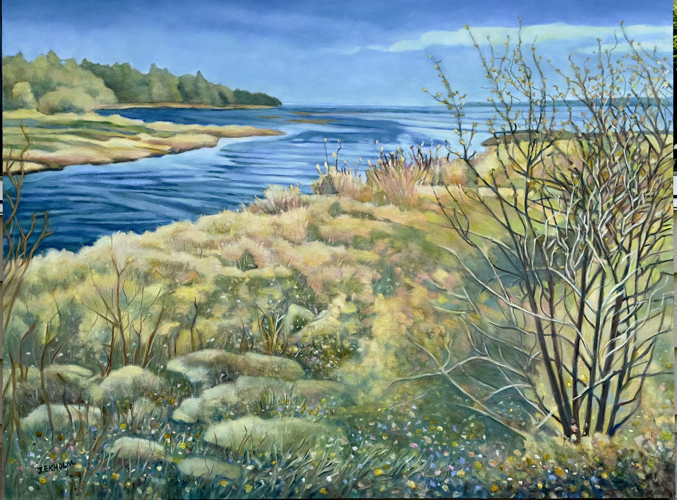 Image of The Crane's Cove by Judi Ekholm