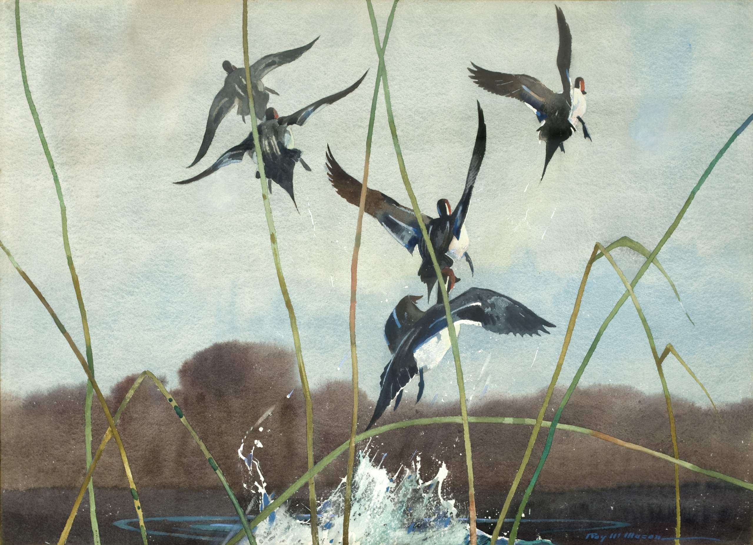 Pintails Rising by  Roy Martell Mason - Masterpiece Online