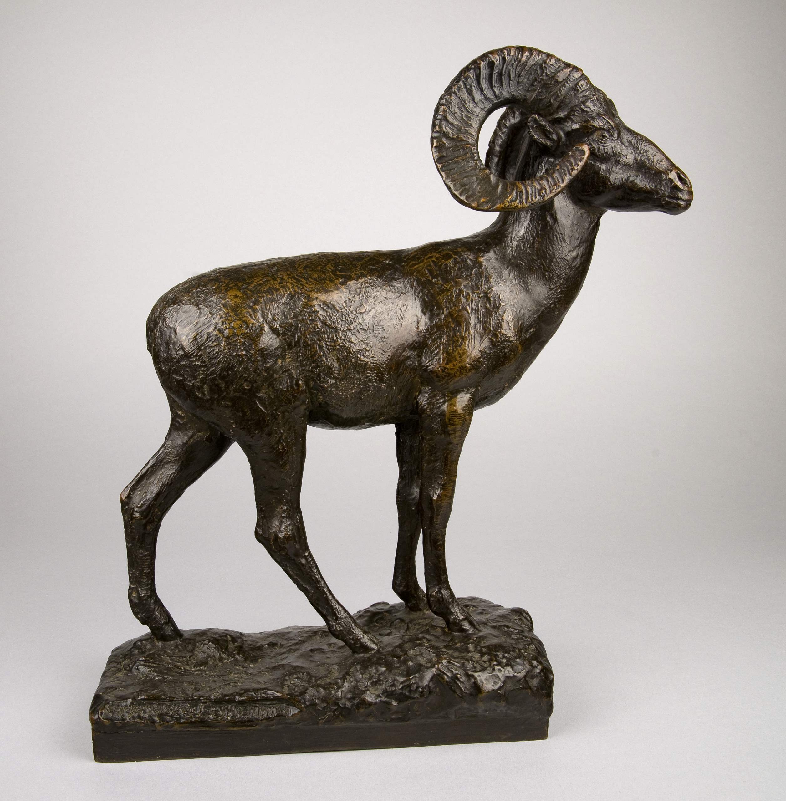 Dall Sheep, Ram, 1905 by  Edwin W. Deming - Masterpiece Online