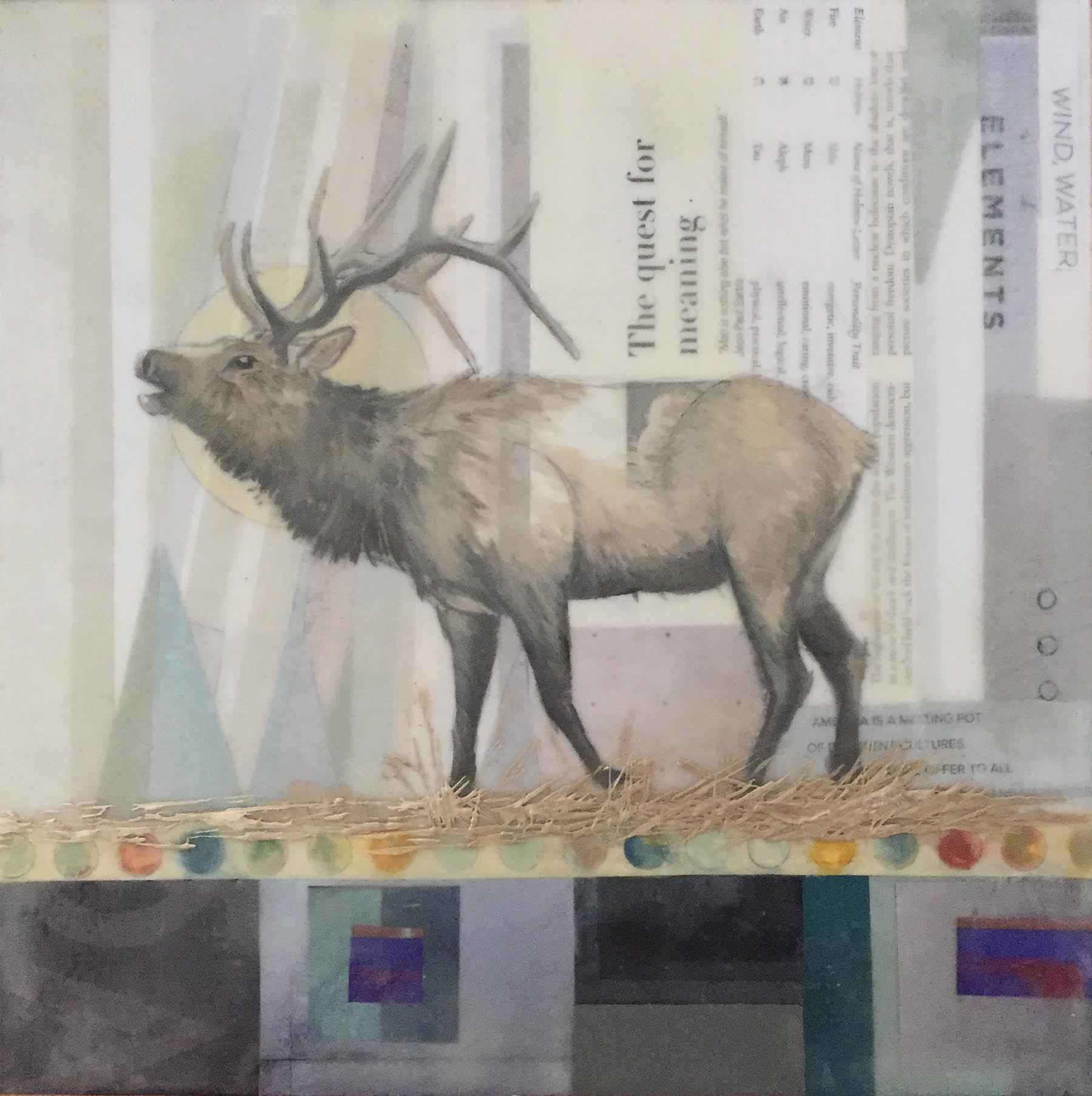 Exploring Elk by  Lindsey Erin - Masterpiece Online