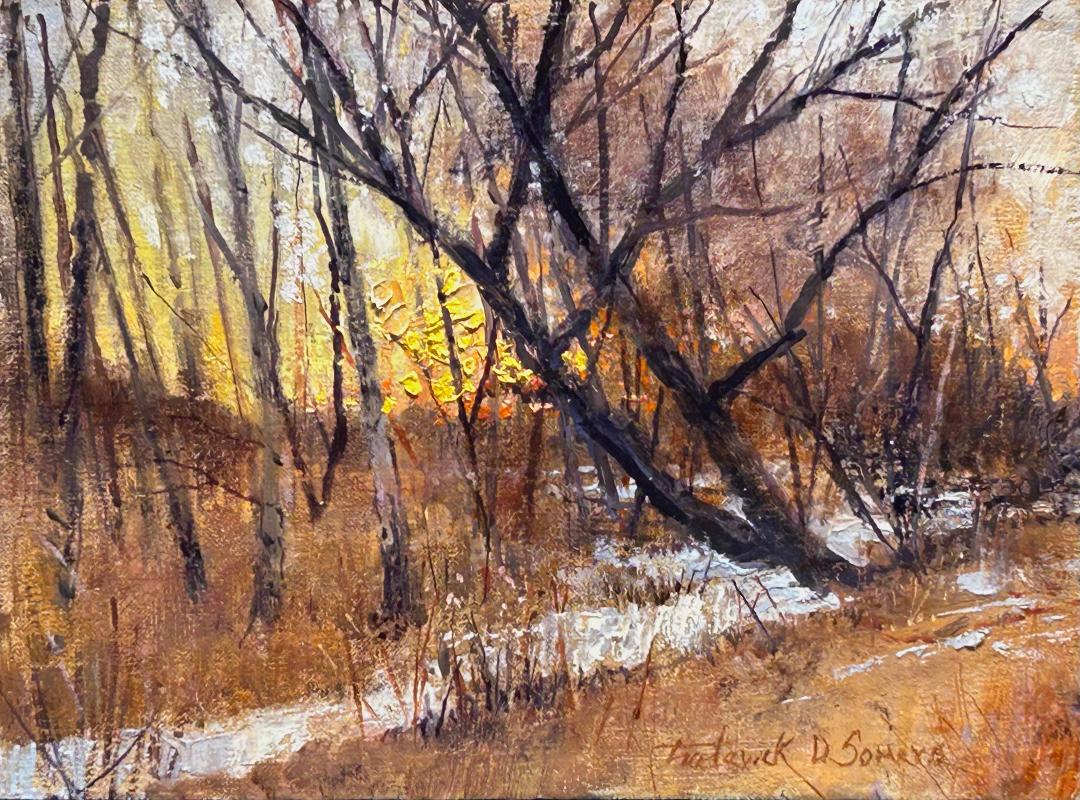 Image of Cadmium's Sunset by Frederick D. Somers
