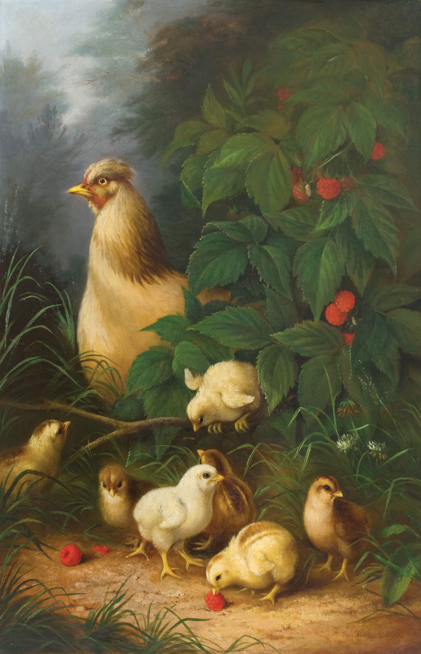 Chickens and Raspberr... by  Susan C. Waters - Masterpiece Online