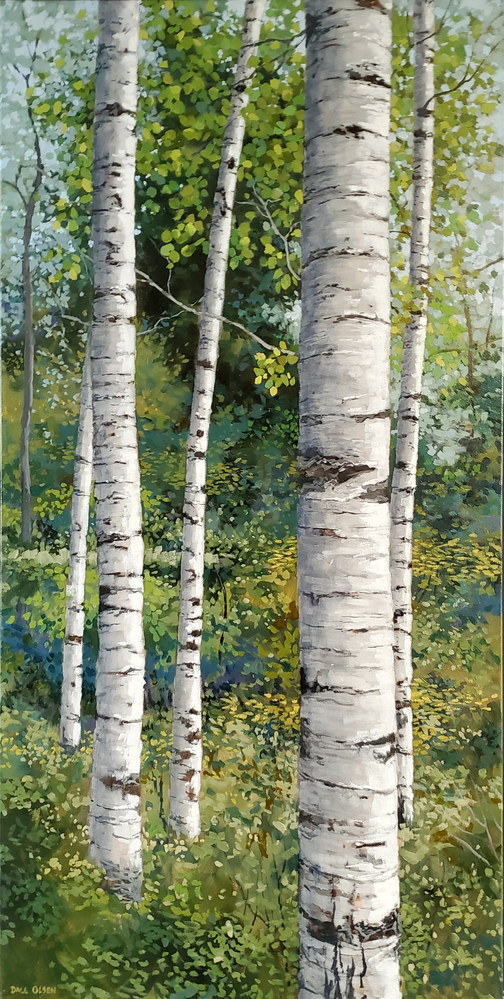 Birch Sentinels