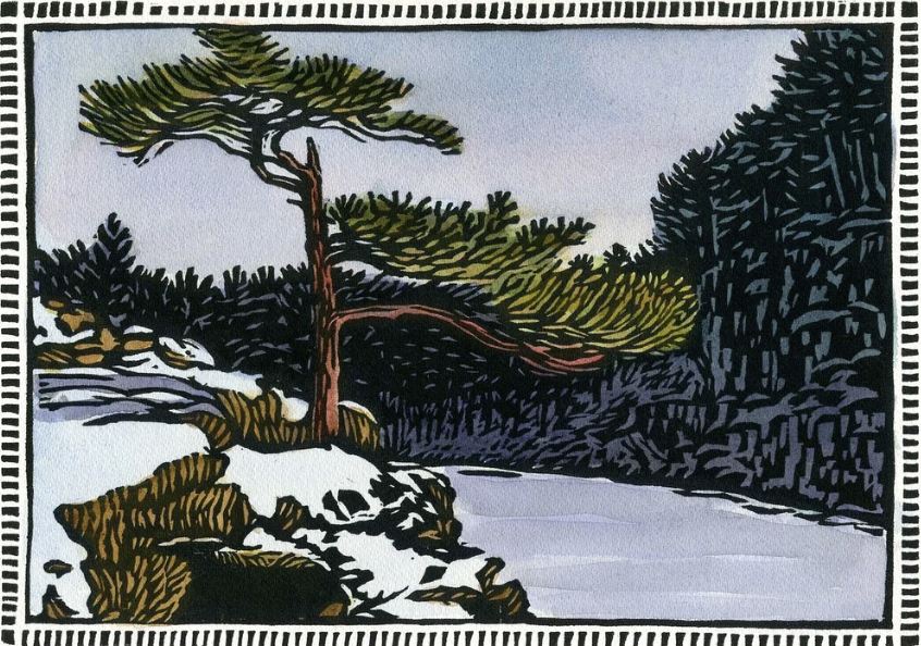 Image of Survivor Pine in the Snow, Edition of 125 by Jim Meyer