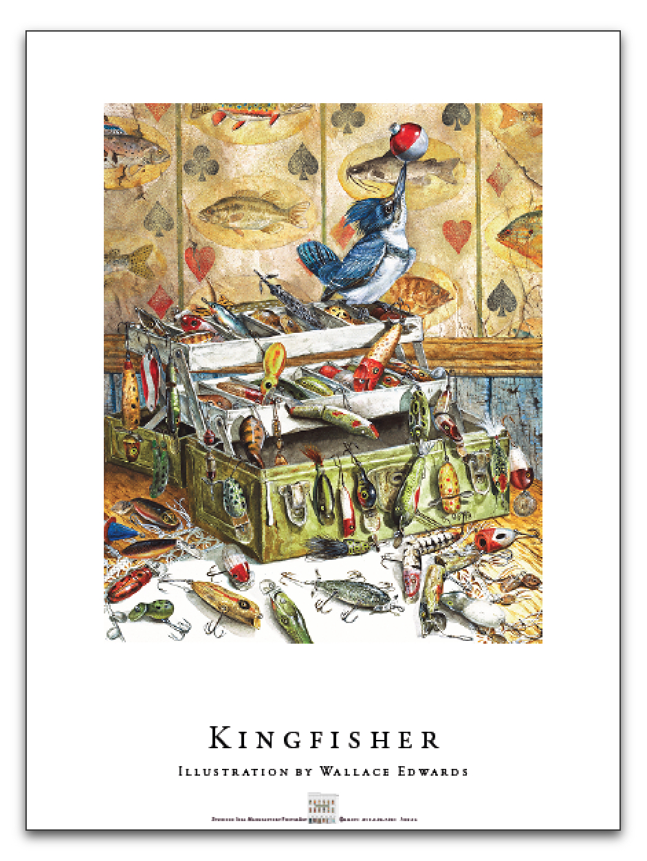 Kingfisher Poster by  Wallace Edwards - Masterpiece Online