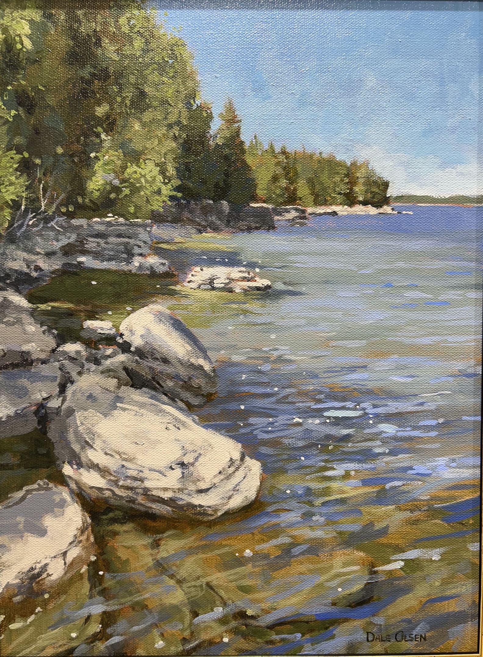 Image of Afternoon Swim by Dale Olsen