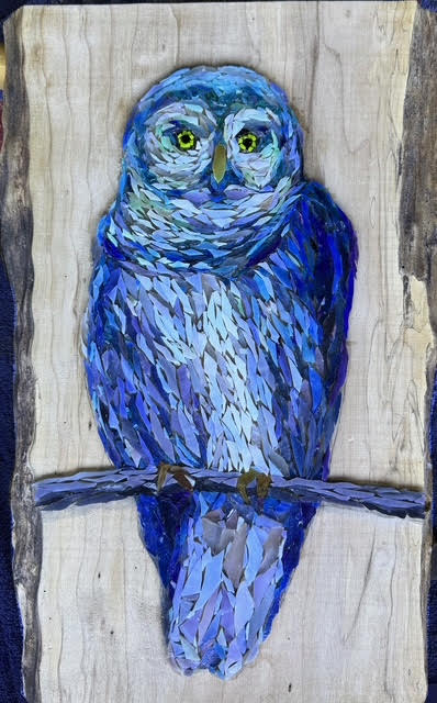 Image of Sweet Little Bard Owl by Joseph Kaftan