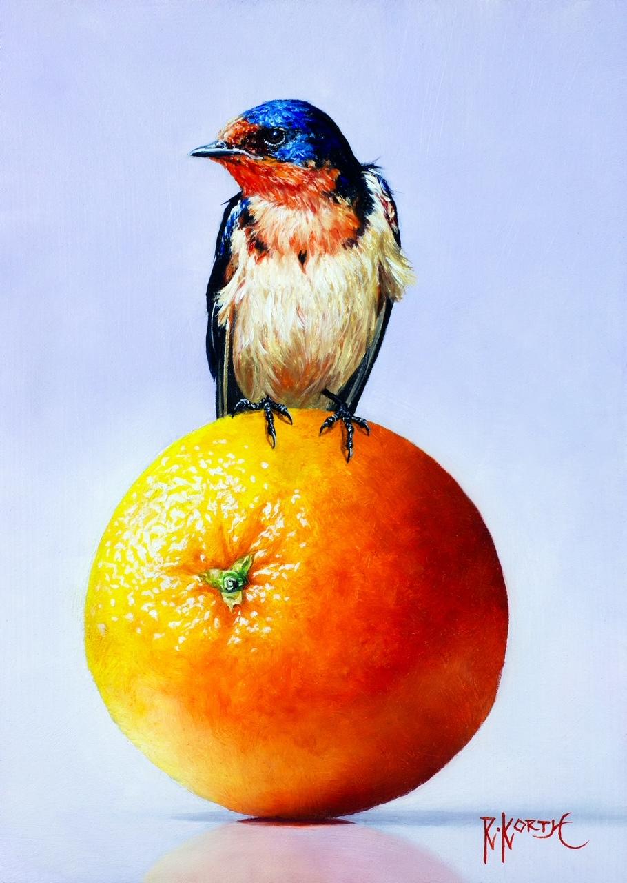 Swallow & Orange