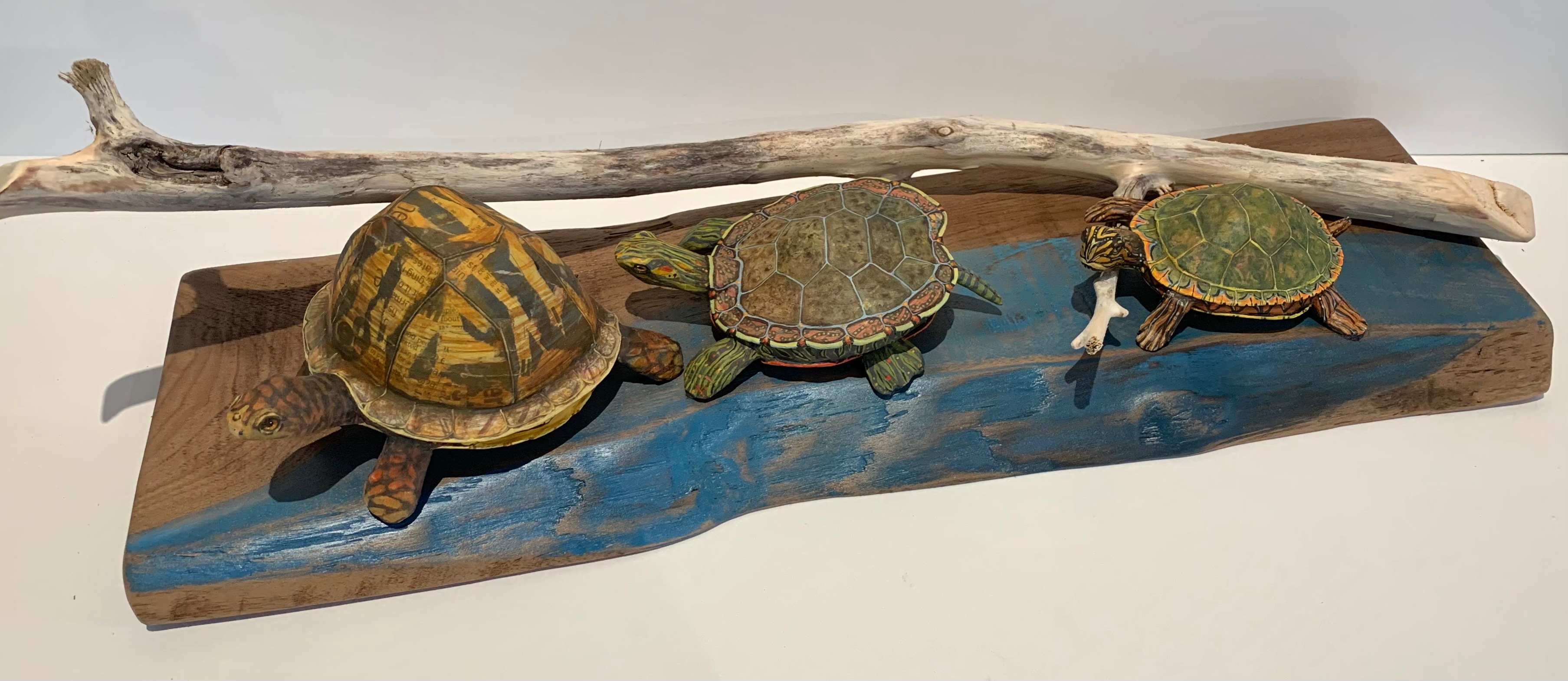 Paint Brush Turtles