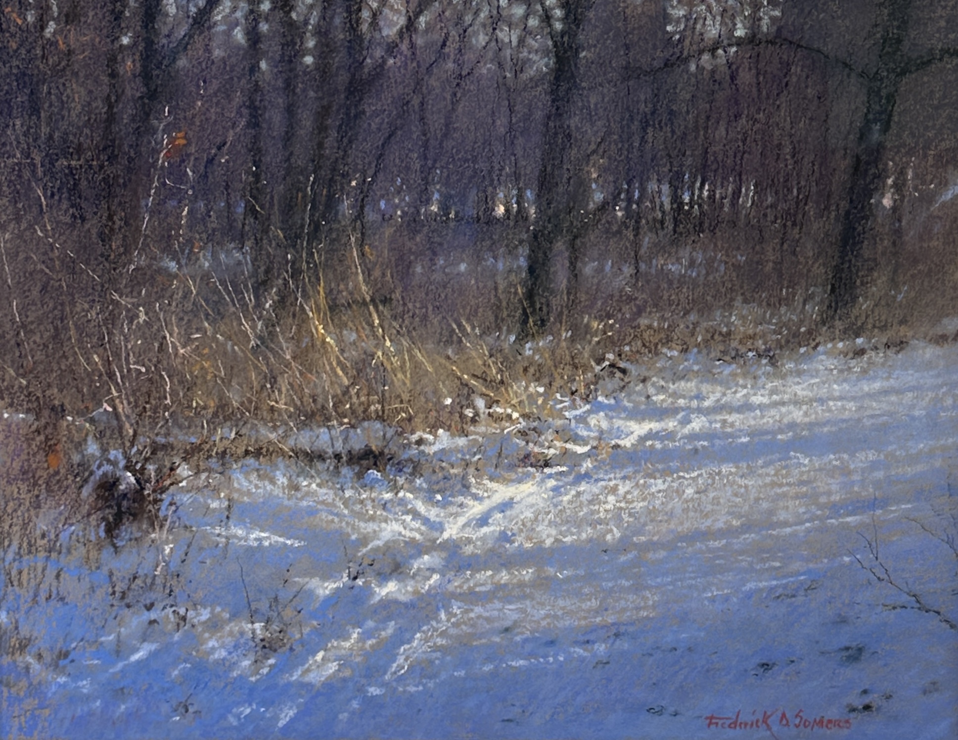 Image of Light and Long Shadows by Frederick D. Somers