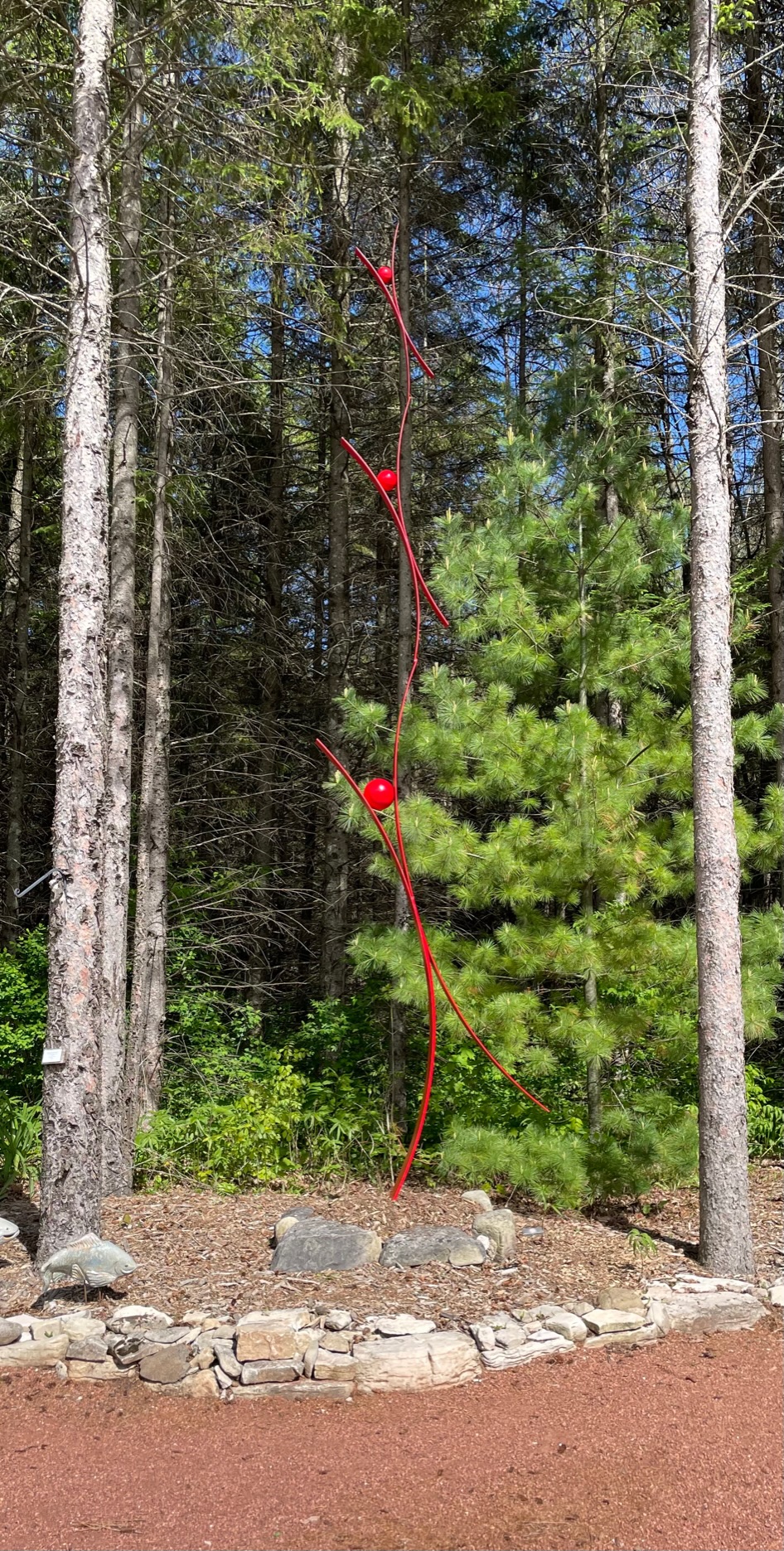 Family Tree