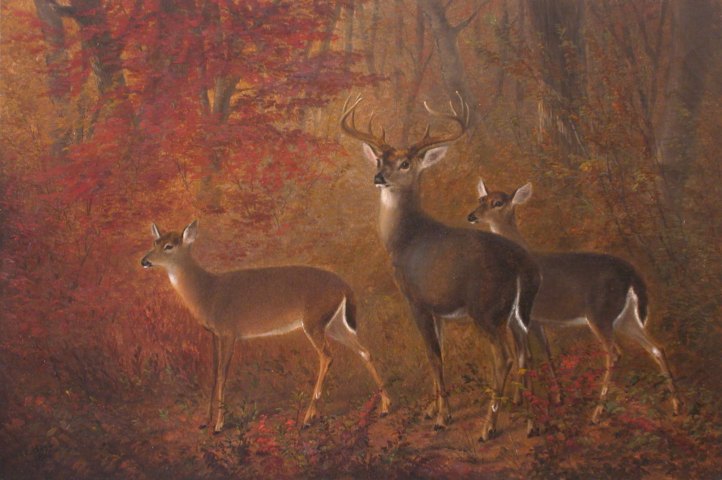American Deer, Autumn... by  William Jacob Hays Sr. - Masterpiece Online