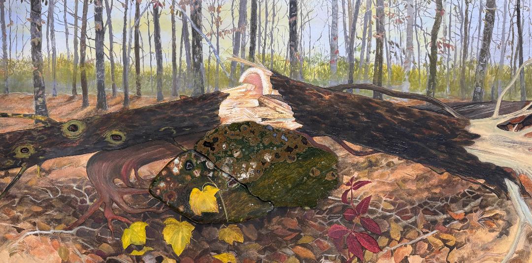 Image of The Break by Mary Ellen Sisulak