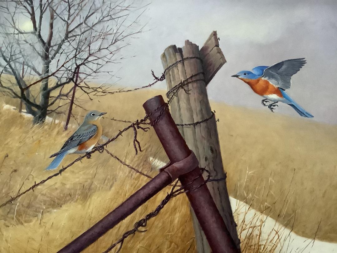 Image of Courtship Begins by Jonathan Wilde