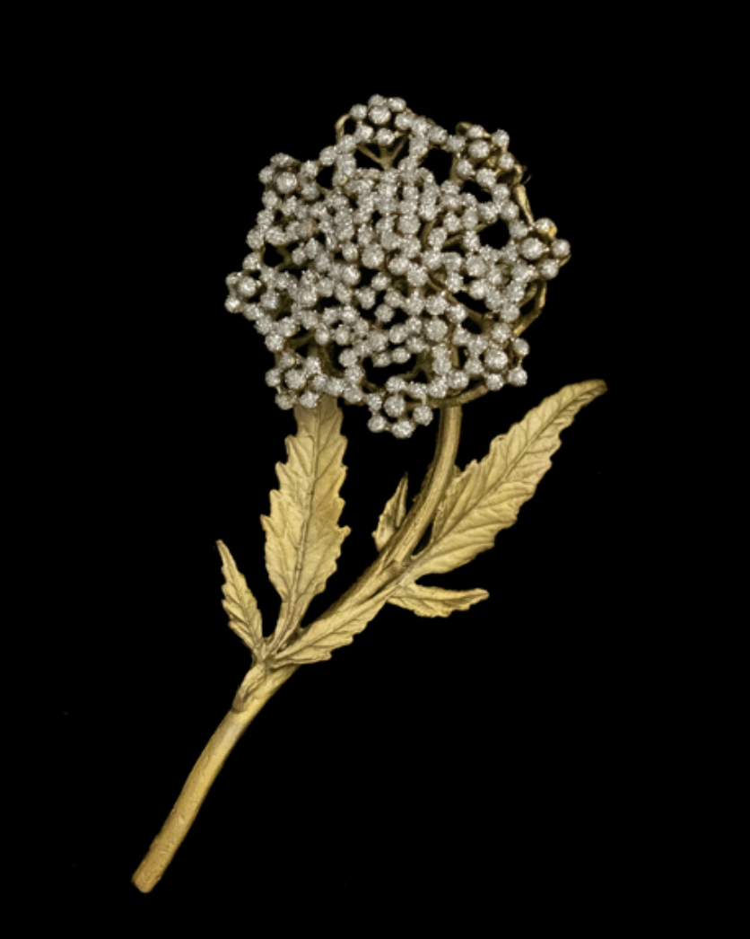 Image of Queen Anne's Lace Brooch by Michael Michaud