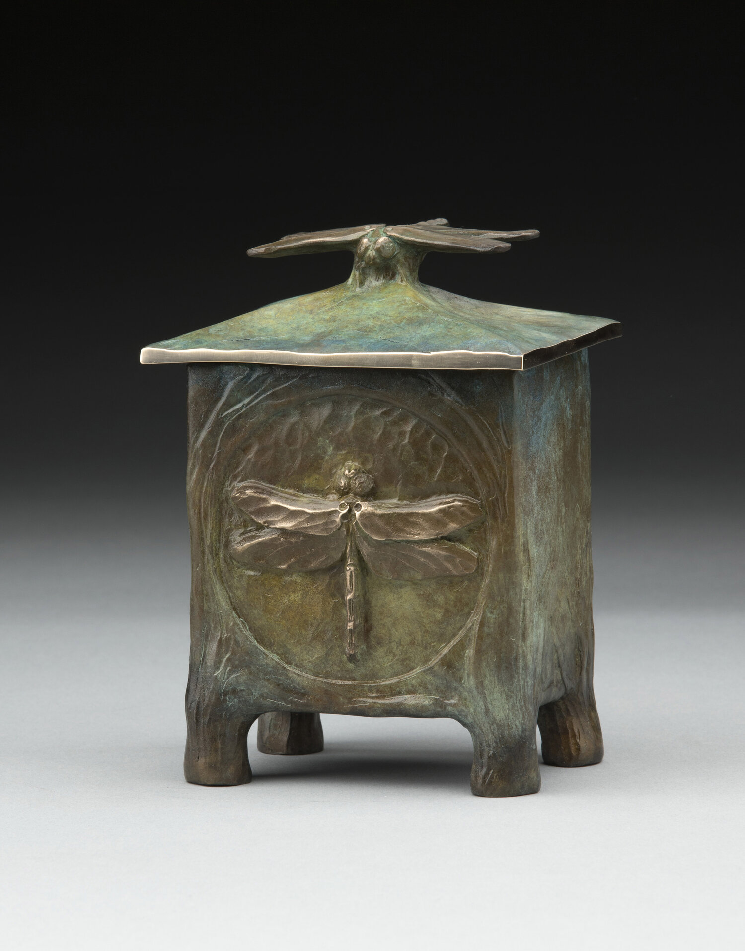 Image of Dragonfly Vessel, Edition of 200 by James G. Moore