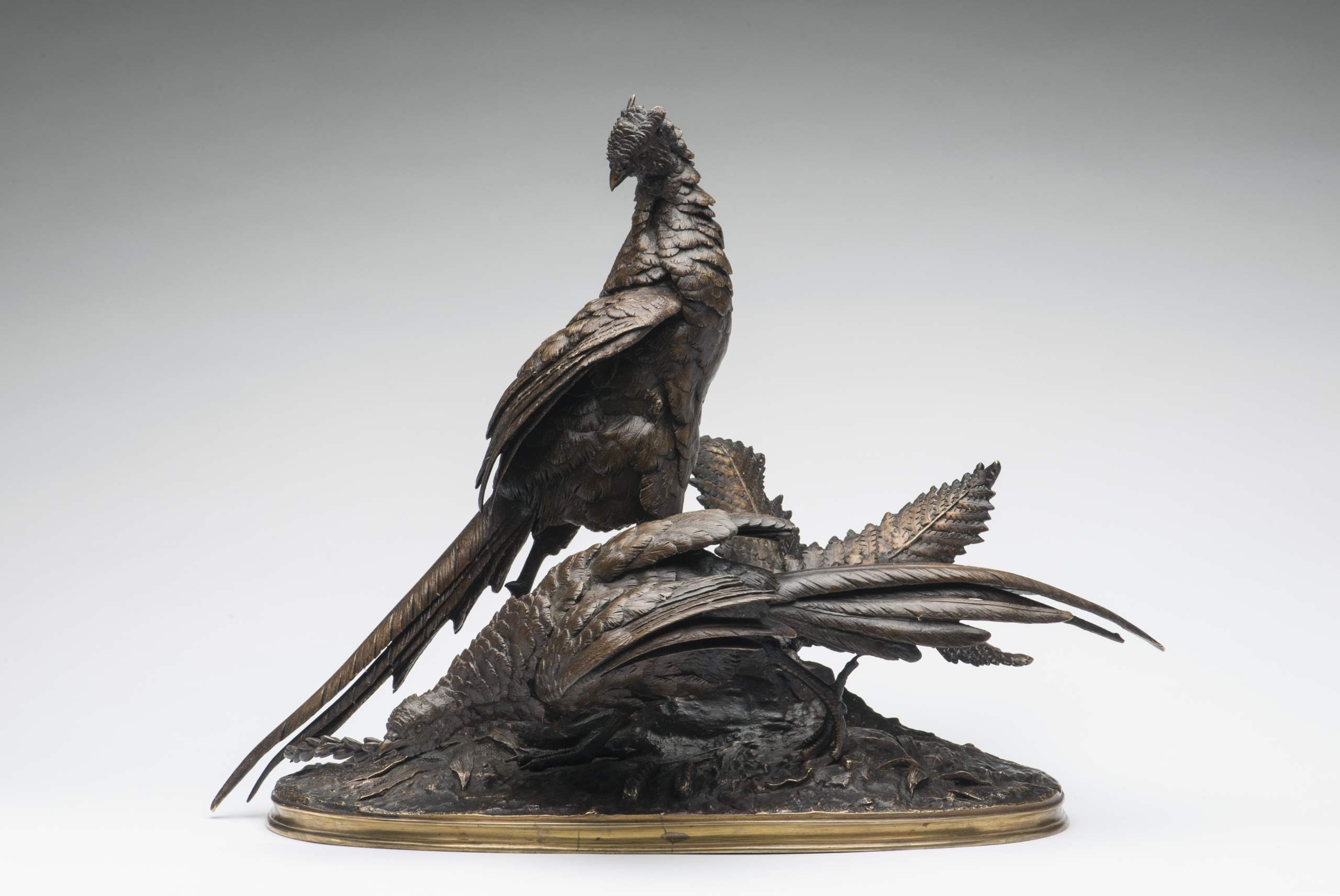 Brace of Pheasants by  Ferdinand Pautrot - Masterpiece Online