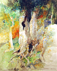 Beech Forest by  Jerry Pinkney - Masterpiece Online