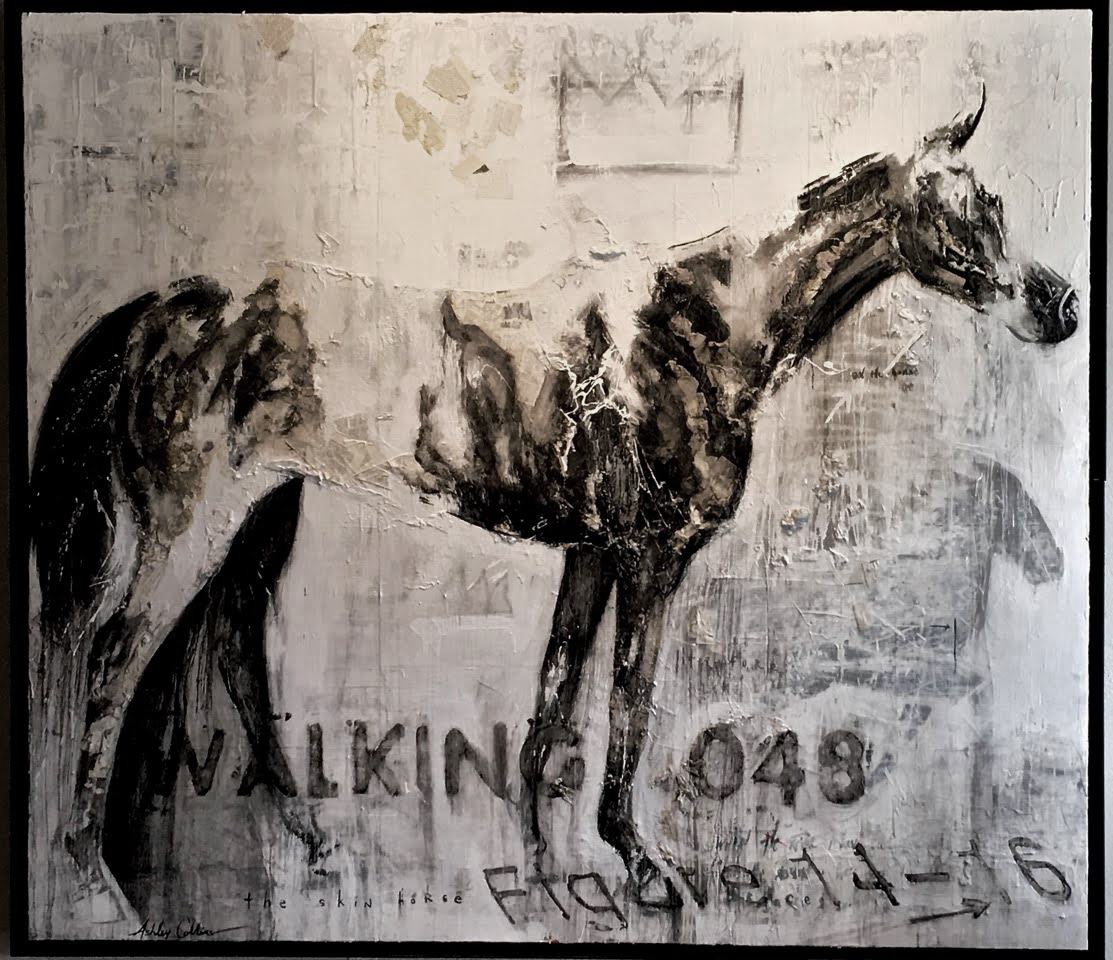 Skin Horse by  Ashley Collins - Masterpiece Online