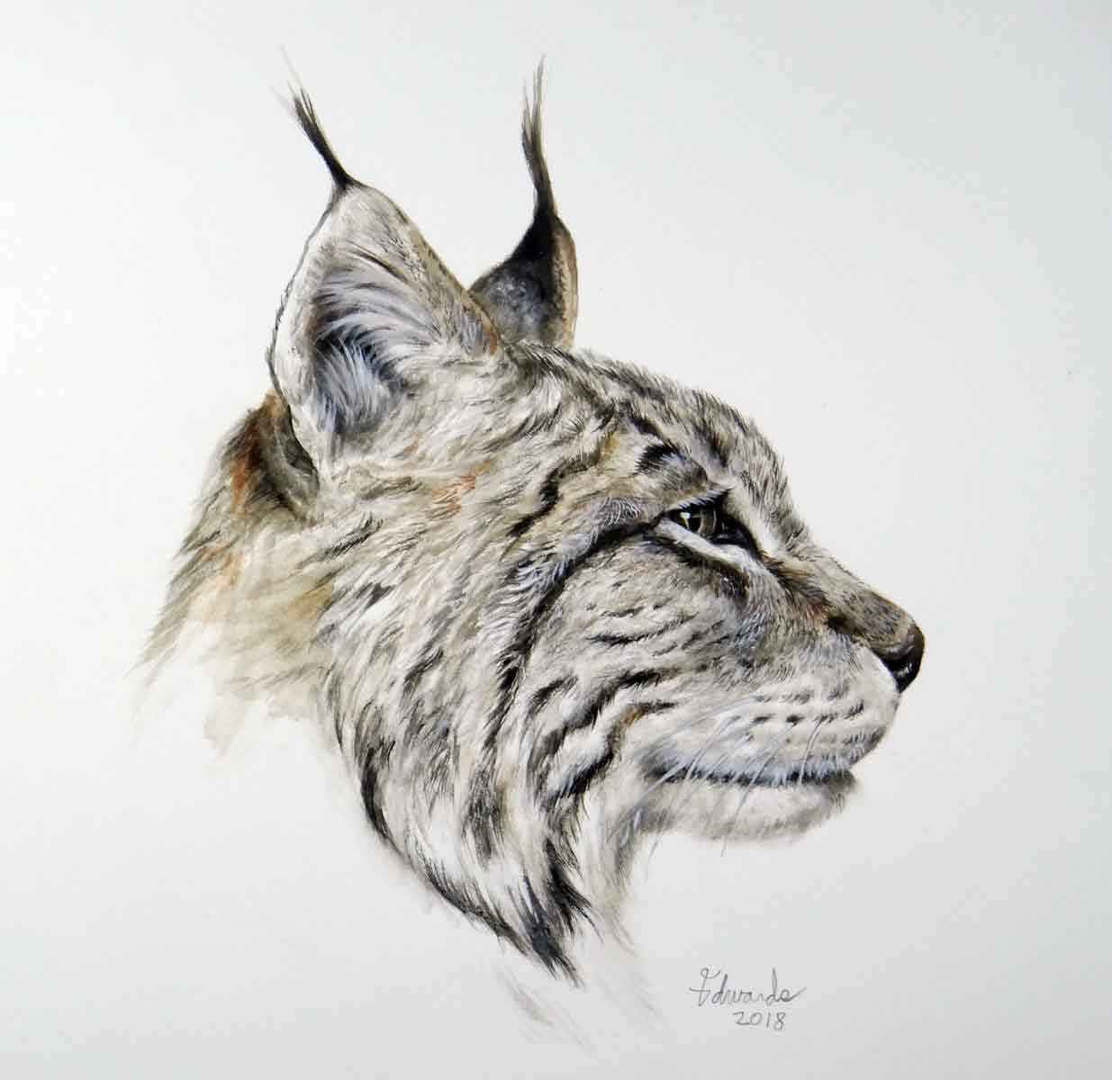 Lynx by  Wallace Edwards - Masterpiece Online