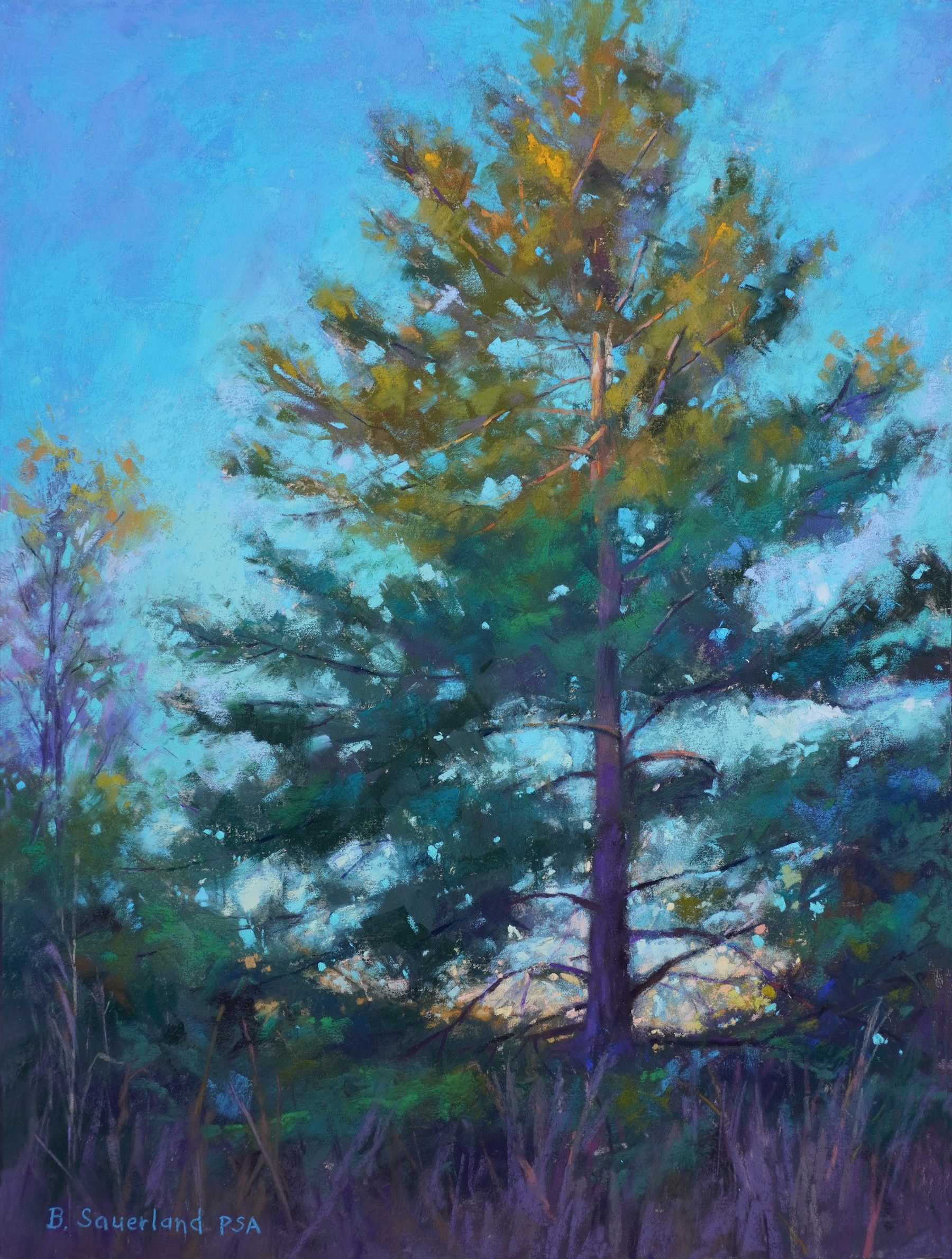 Image of Sunset on the Pine by Brian Sauerland