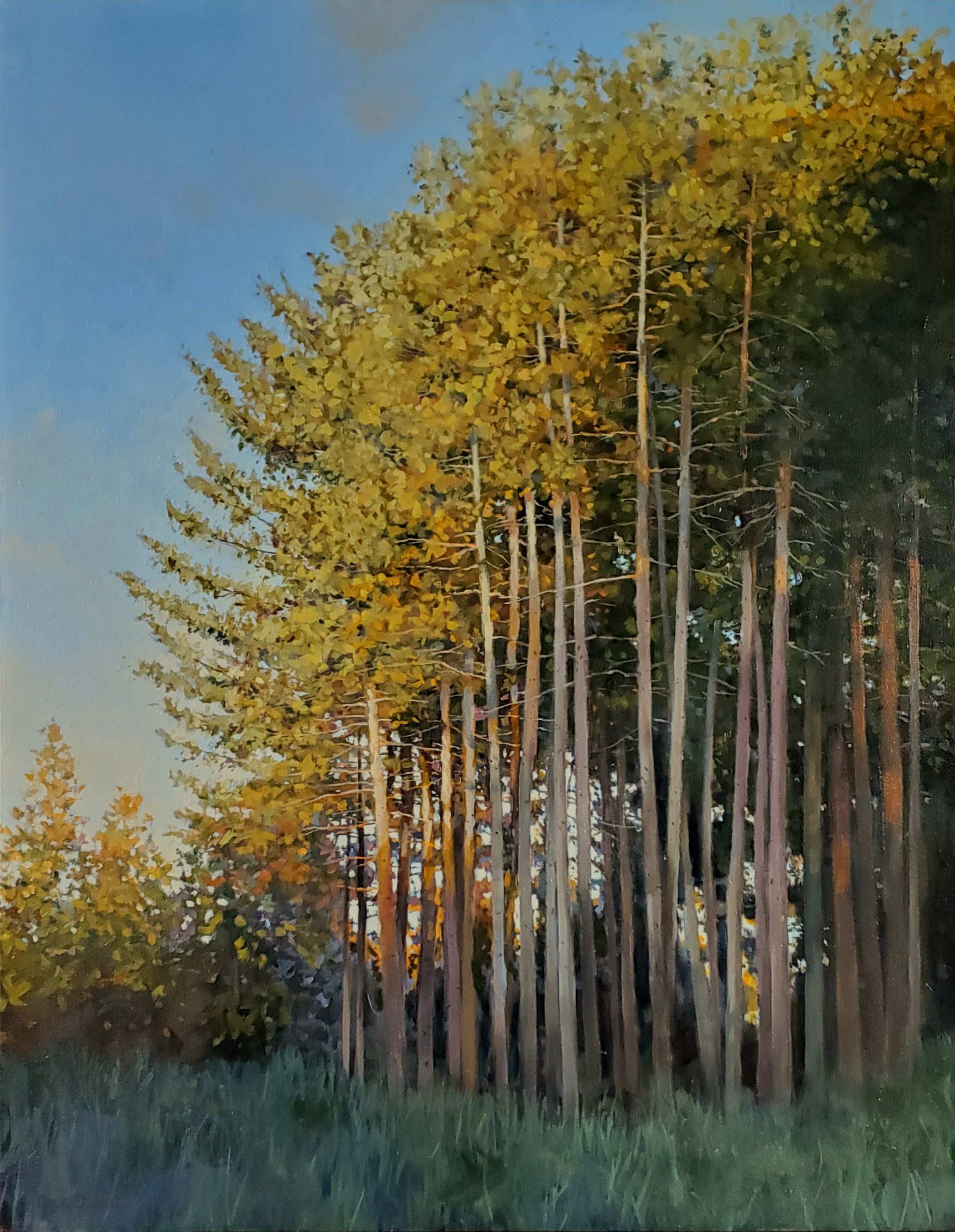 Image of Last Light by Dale Olsen