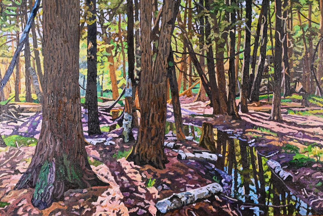 Image of On Sunset Trail by Ken Schneider