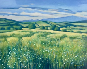 Image of Sky Country by Judi Ekholm