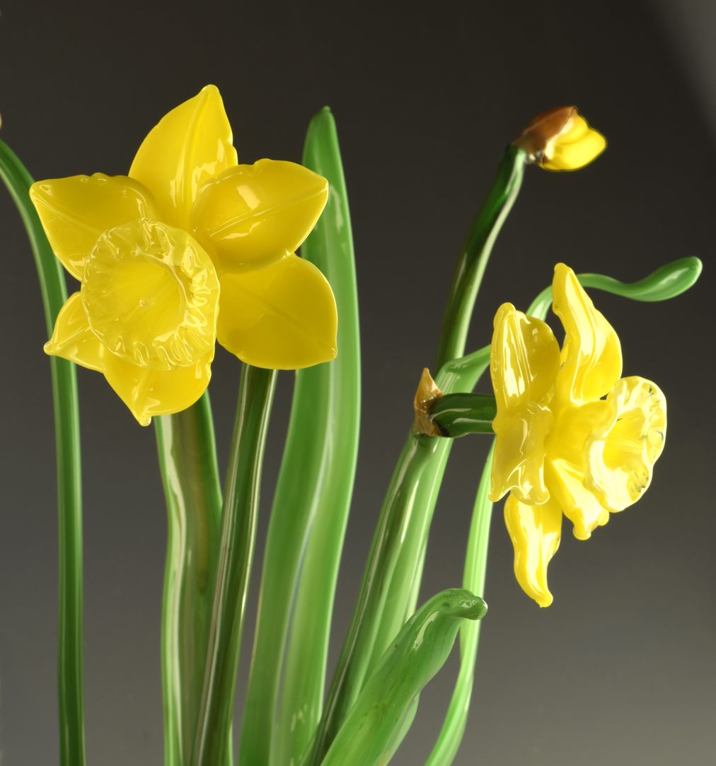 Breath of Spring, Daffodil and Bluet Garden