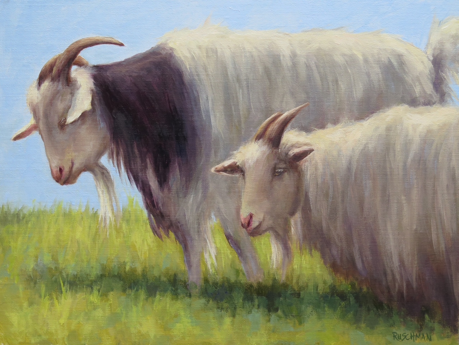 Image of The Goats of Sister Bay by Pamela Ruschman