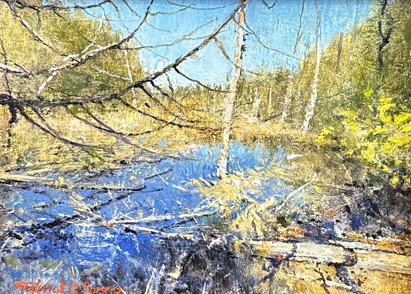 Image of Quiet Waters by Frederick D. Somers