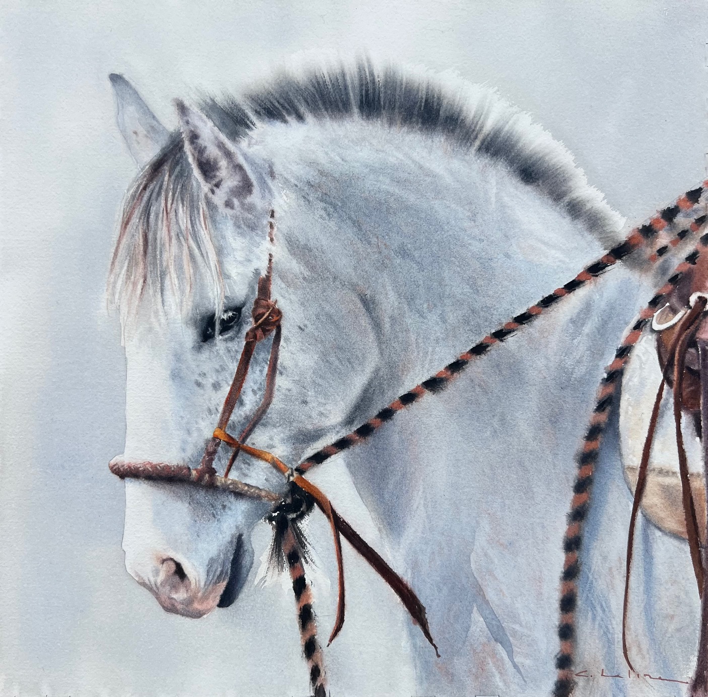 Image of Heart of My Journey by Caitlin Leline Hatch