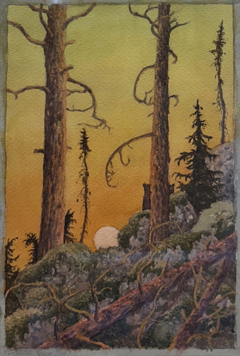 Image of Bawaadan by Tom Uttech